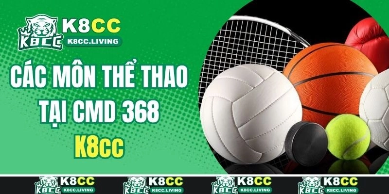 Các bộ môn cá độ kinh điển tại sảnh cược